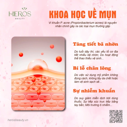 Khoa học về mụn - Tìm hiểu tất tần tật các thông tin về mụn