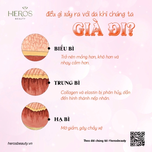 Điều gì xảy ra với da khi chúng ta già đi?