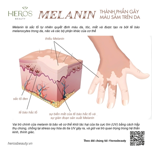 Melanin - Thành phần gây sẫm màu trên da