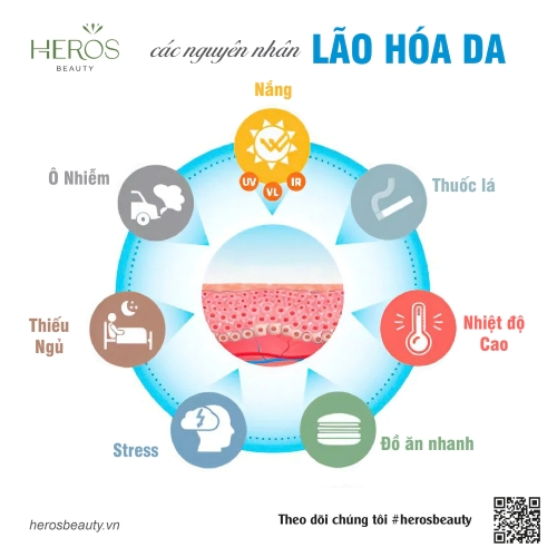 Các nguyên nhân dẫn tới tình trạng lão hóa da