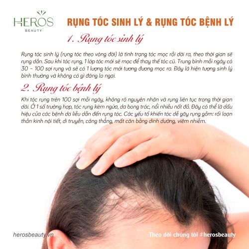 Phân biệt rụng tóc sinh lý và rụng tóc bệnh lý