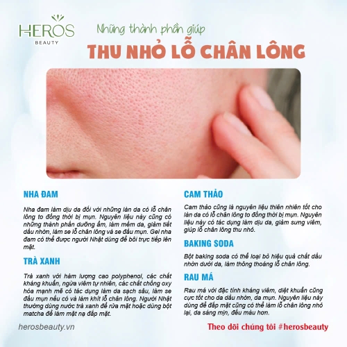 TOP 5 THÀNH PHẦN GIÚP THU NHỎ LỖ CHÂN LÔNG HIỆU QUẢ