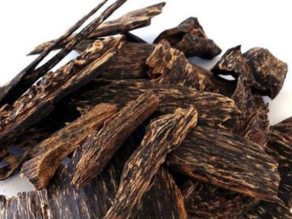 Trầm hương là gì? Công dụng Trầm hương là gì?bạn cần biết