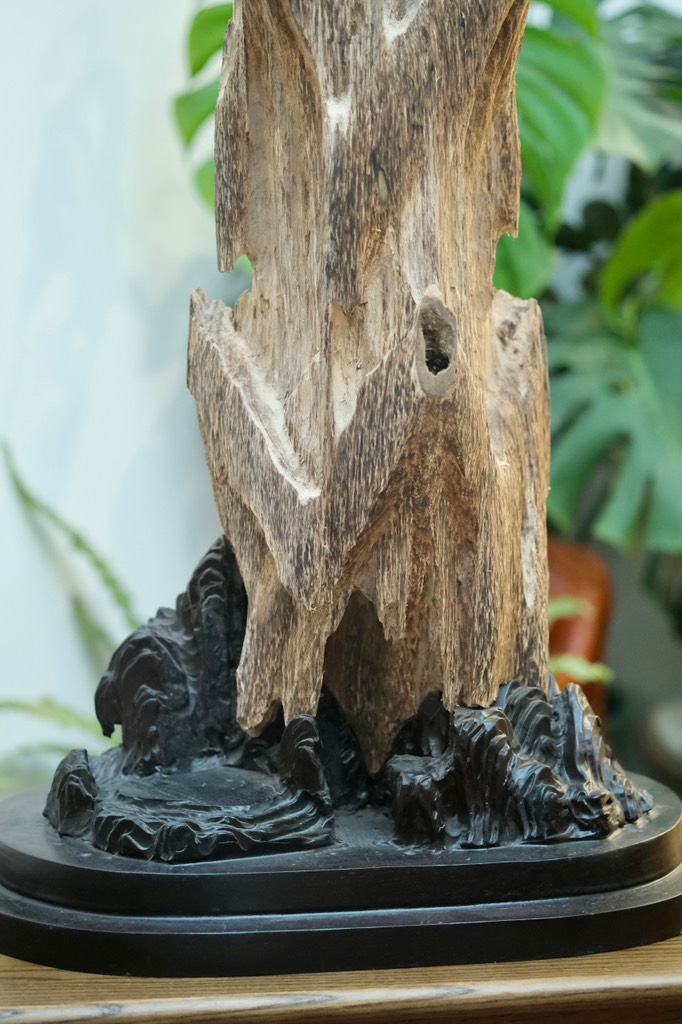 Trầm cảnh vườn đại sơn