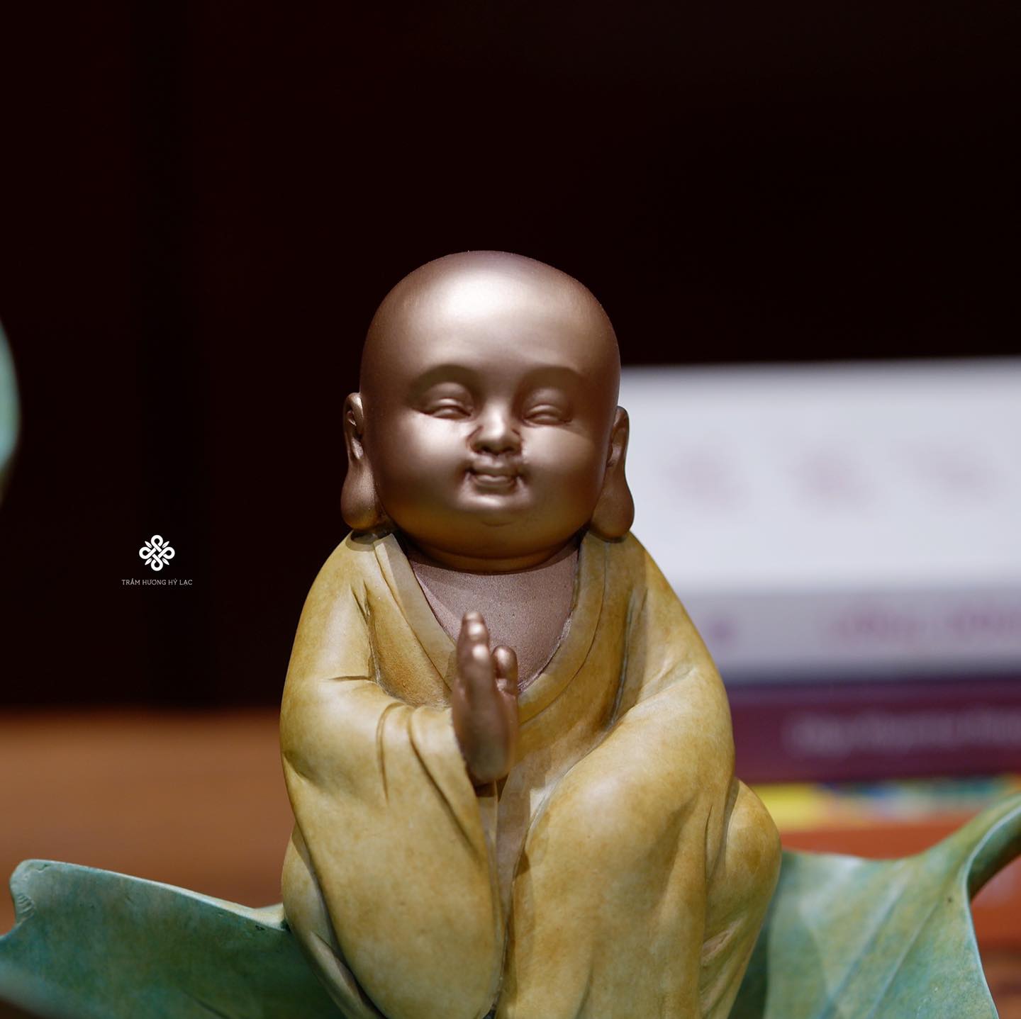 Lư đồng thiền định trên thuyền lá