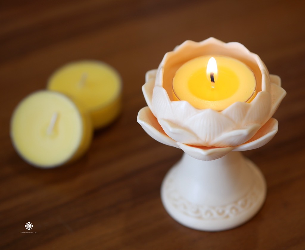 Nến bơ cao cấp 100 viên màu vàng vỏ nhựa - 4h