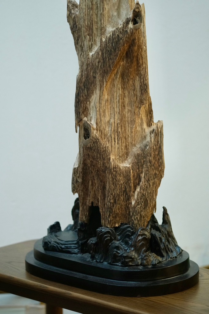 Trầm cảnh vườn đại sơn