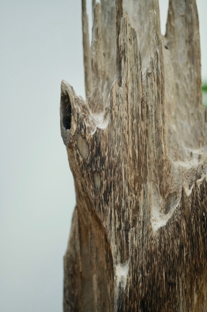 Trầm cảnh vườn đại sơn