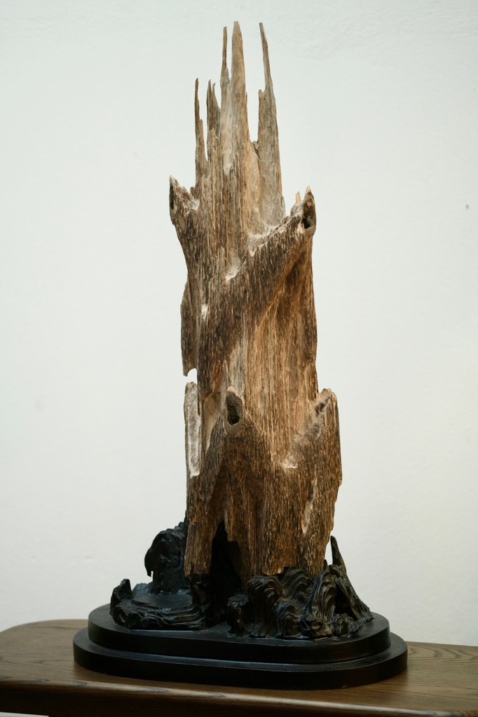 Trầm cảnh vườn đại sơn