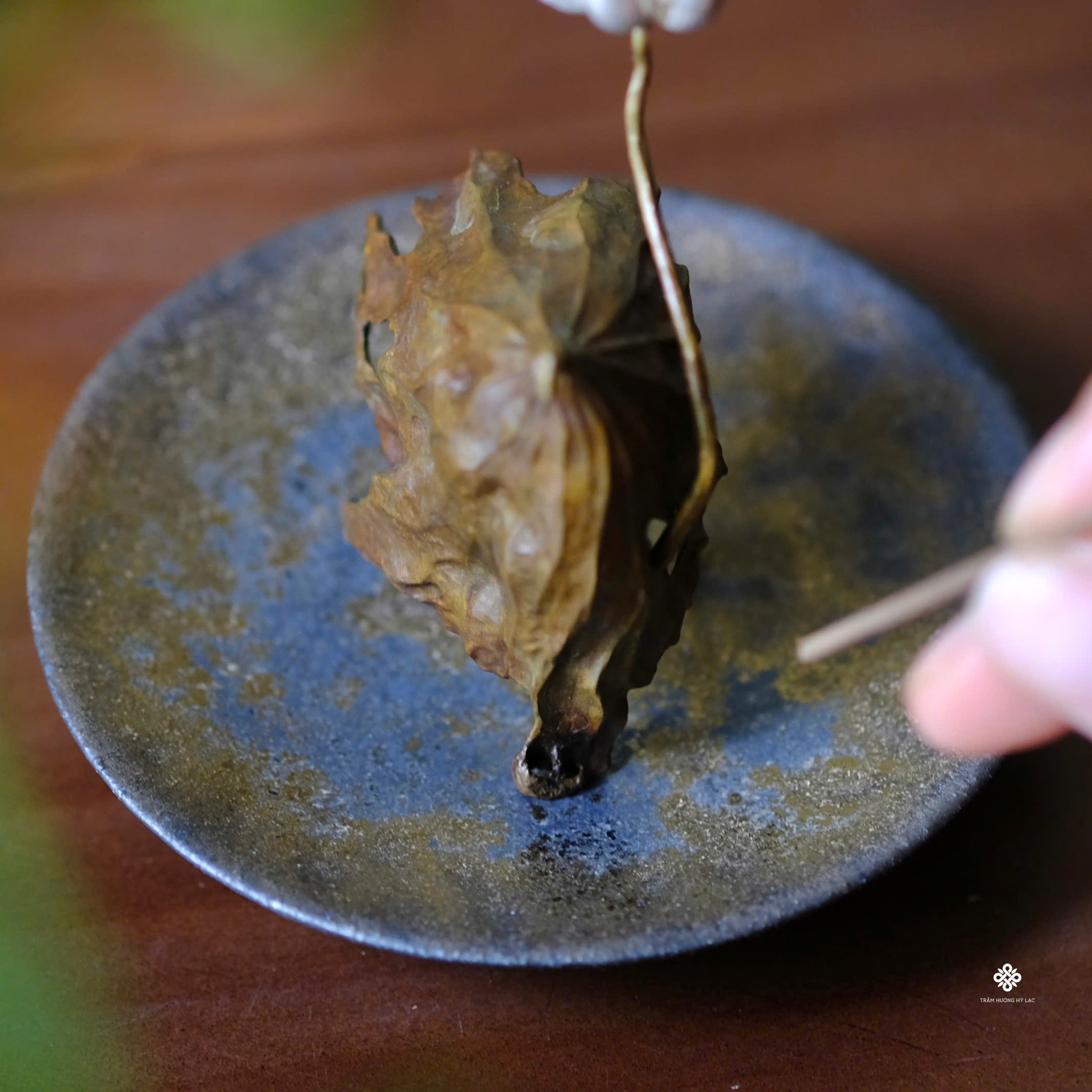 Tác phẩm thanh liên viên dung