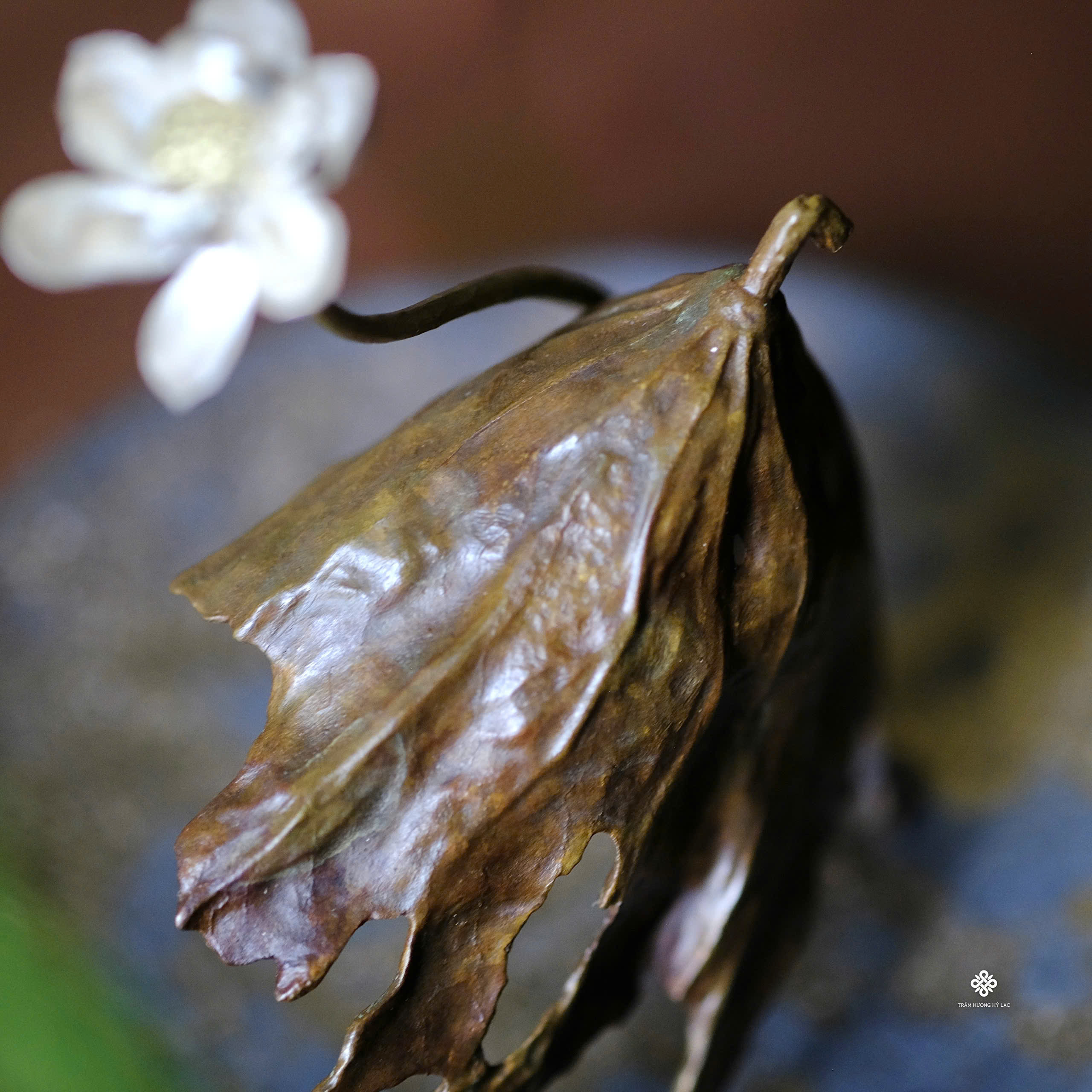 Tác phẩm thanh liên viên dung