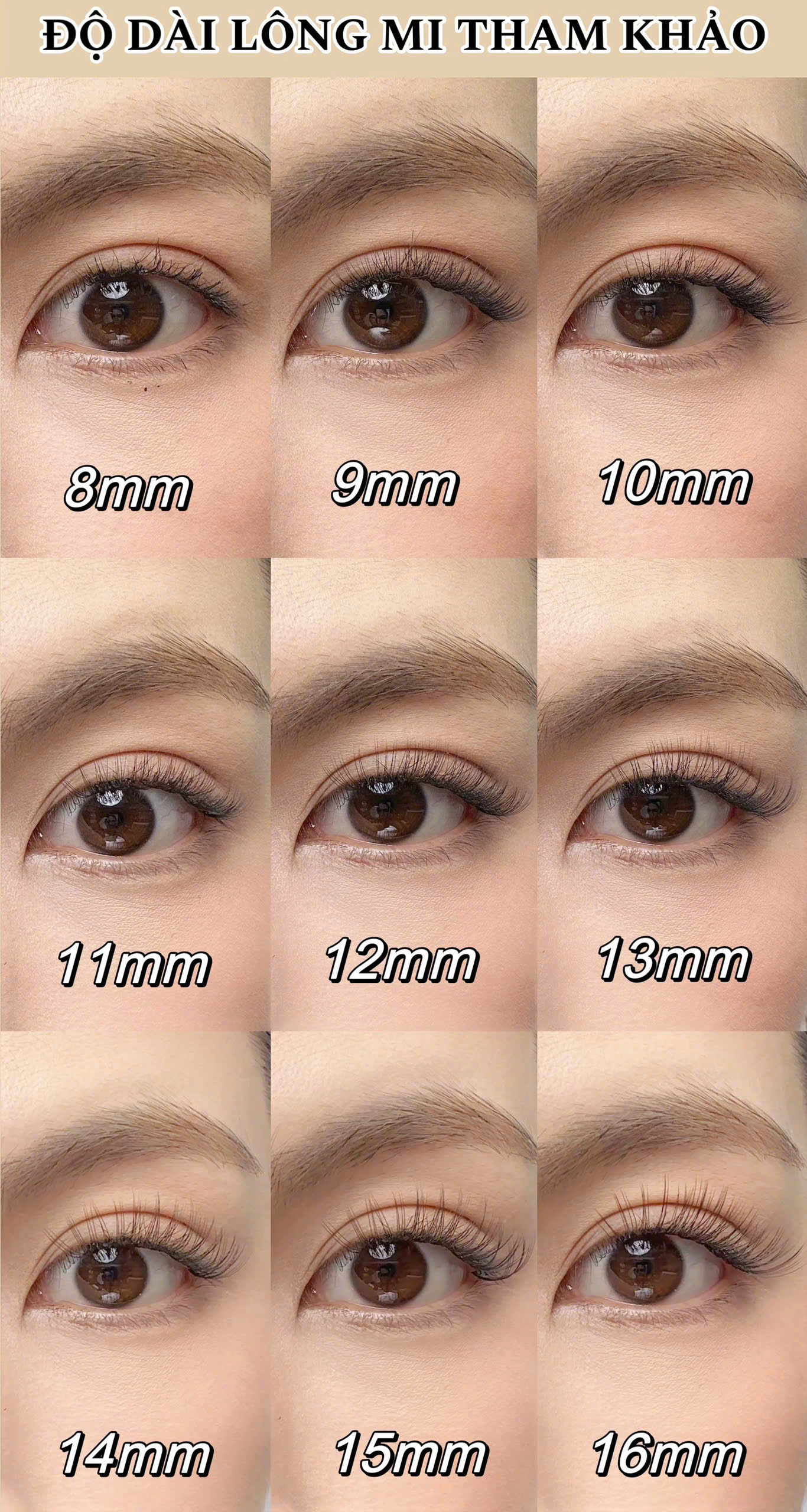 Bảng size mi gợi ý