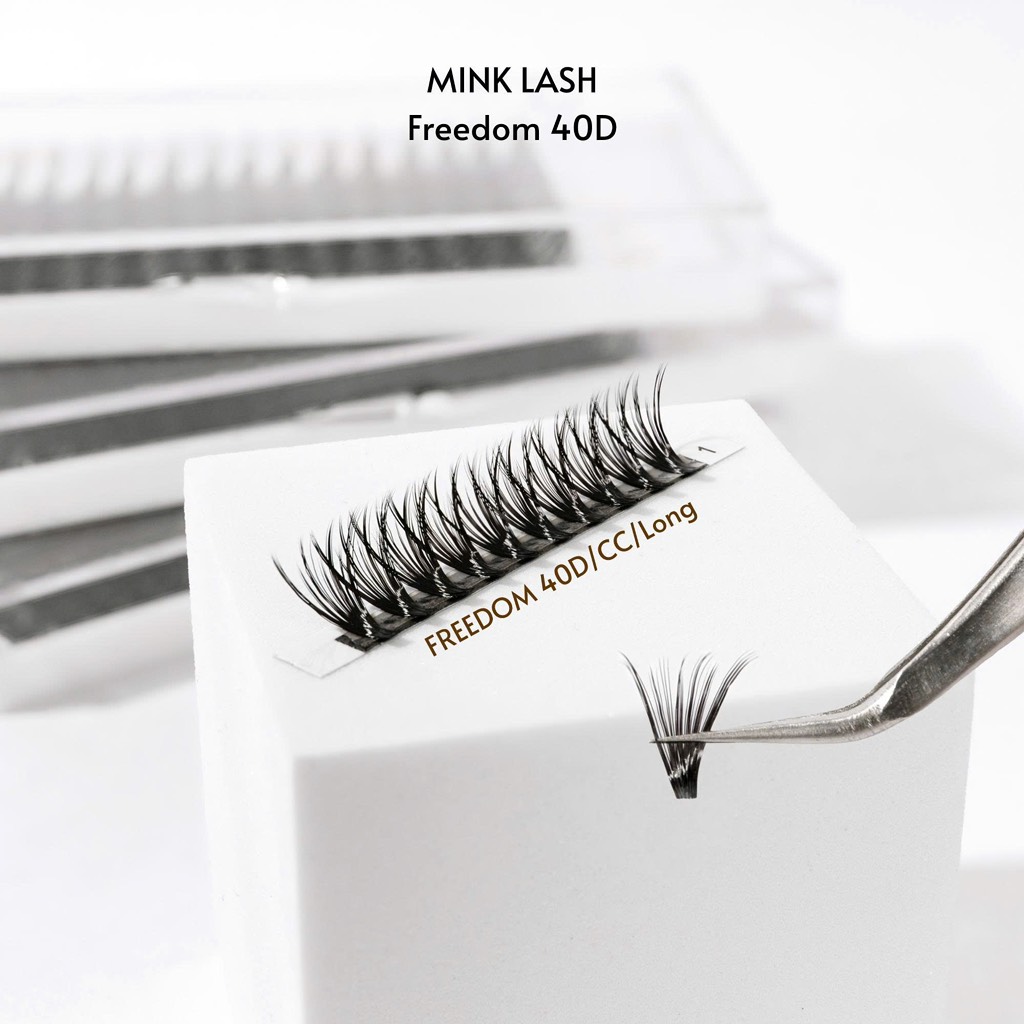 Mi chùm Freedom 40D