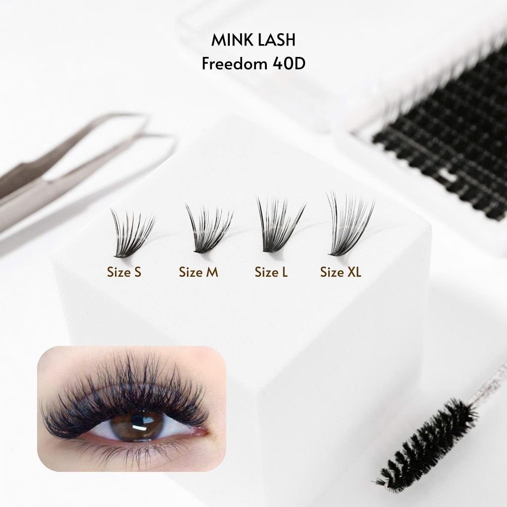 Mi chùm Freedom 40D