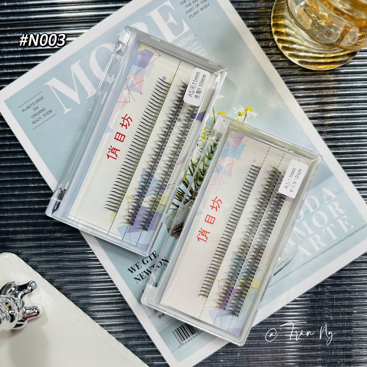 Mi chữ A mix đuôi cá mini