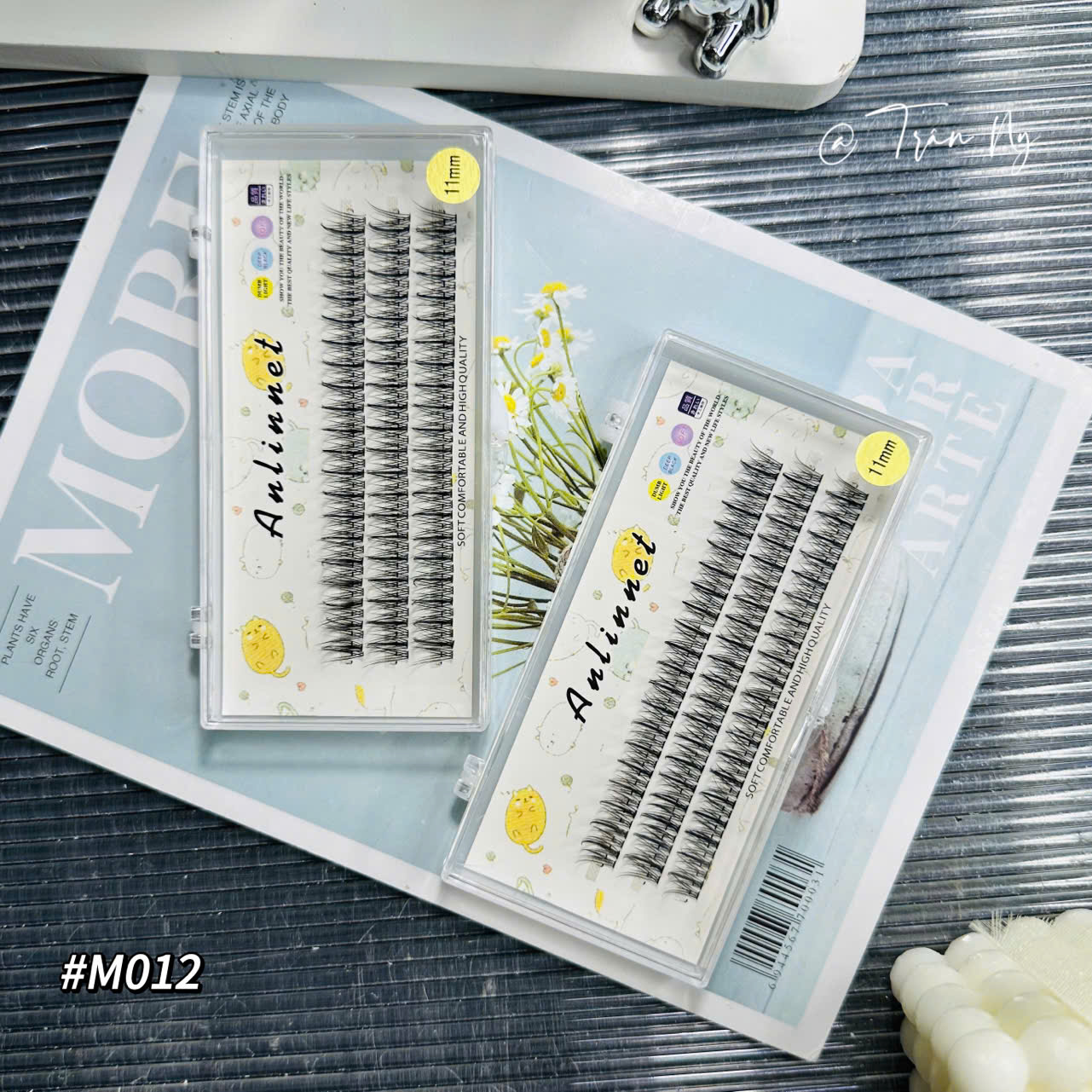 Mi chùm trụ so le Thái