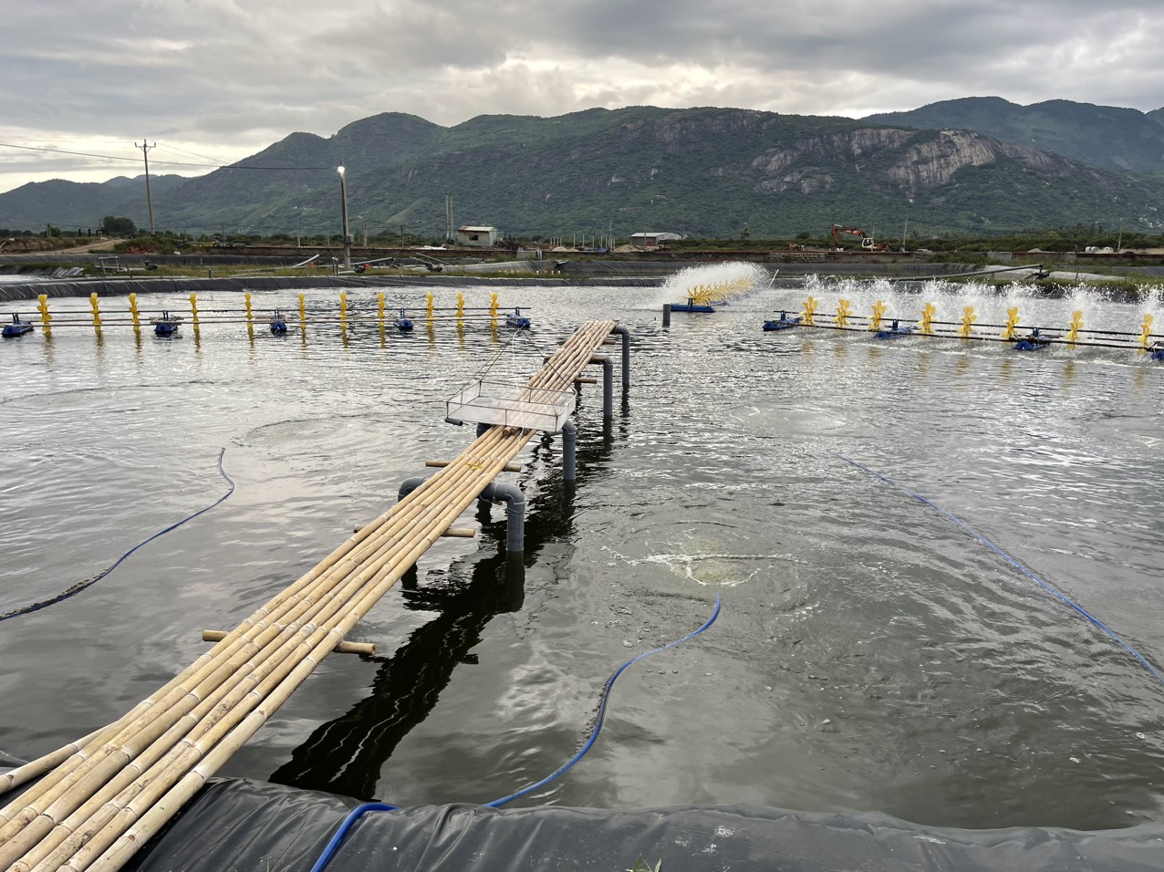 MEN VI SINH HỮU ÍCH EM-1 (EM GỐC) Chai 1L- THỦY SẢN - CÔNG TY TNHH IBAS