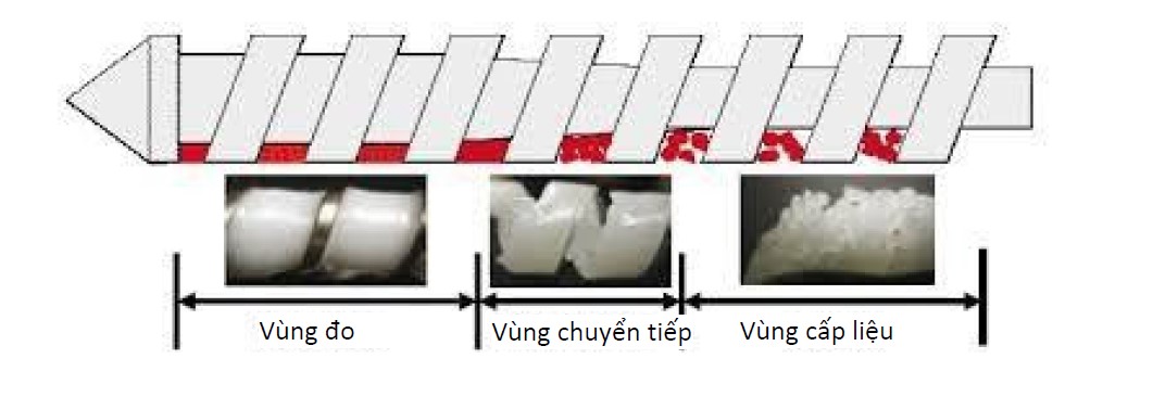 Trục vít(screw)