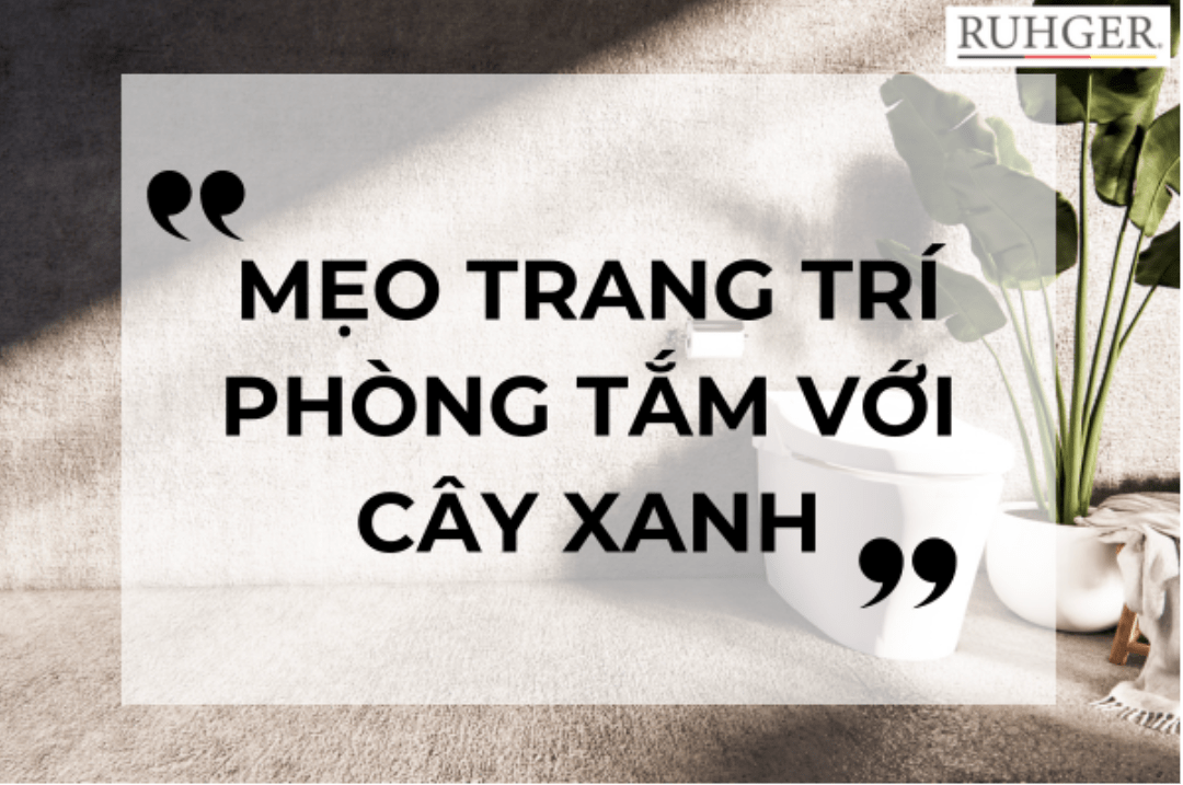 Mẹo trang trí nhà tắm với cây xanh: Tái tạo năng lượng cho không gian