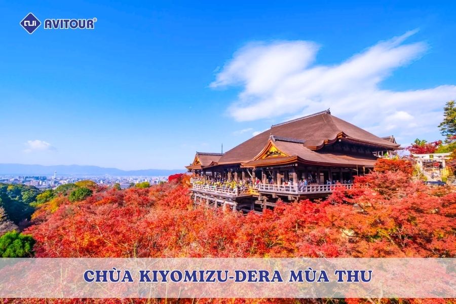 Chùa Kiyomizu-dera mùa thu: Đắm chìm giữa biển lá đỏ Kyoto