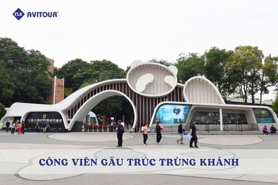 Công viên gấu trúc Trùng Khánh: Tọa độ gặp gỡ 