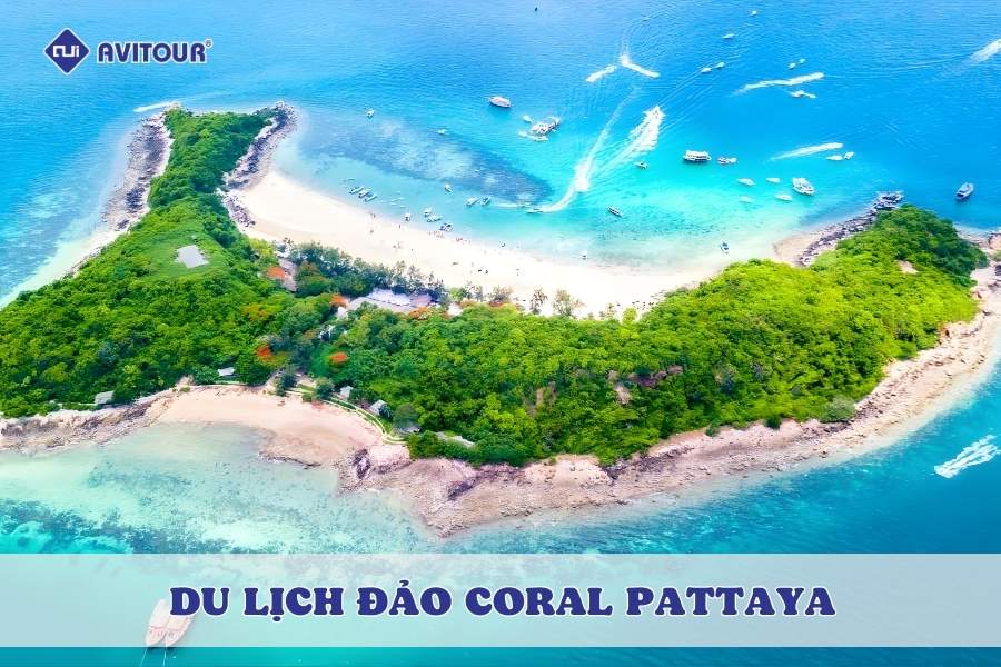Du lịch đảo Coral Pattaya - Thiên đường biển sắc màu không thể bỏ lỡ