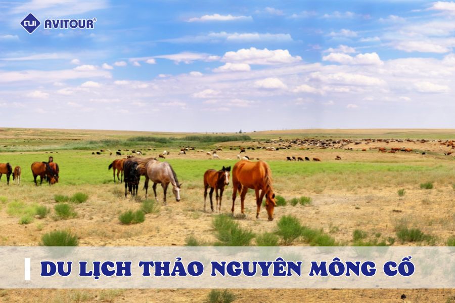 Ngỡ ngàng trước vẻ đẹp thảo nguyên Mông Cổ