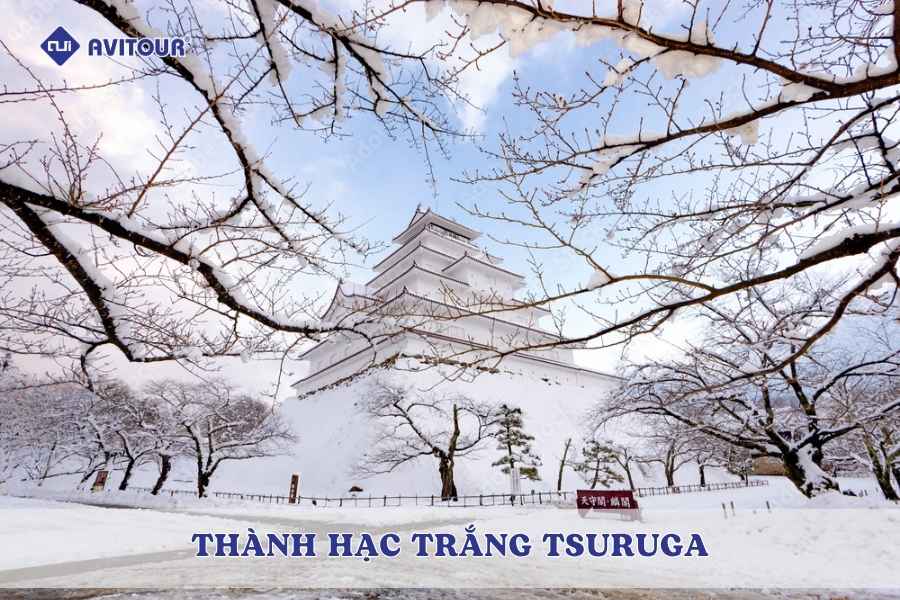 Thành Hạc Trắng Tsuruga: Điểm đến lịch sử nổi bật tại tỉnh Fukui Nhật Bản