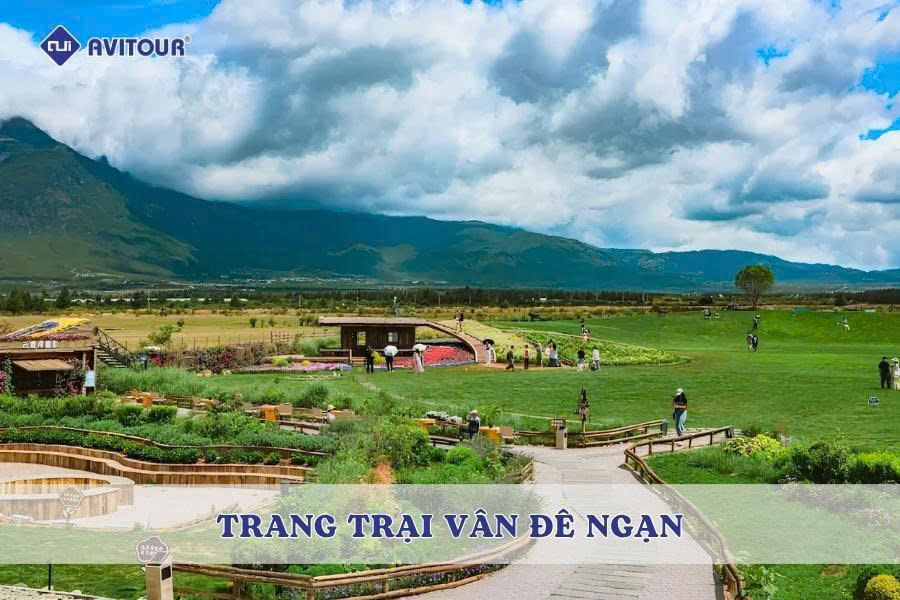 Trang trại Vân Đê Ngạn: Điểm check-in thơ mộng giữa thiên nhiên Vân Nam
