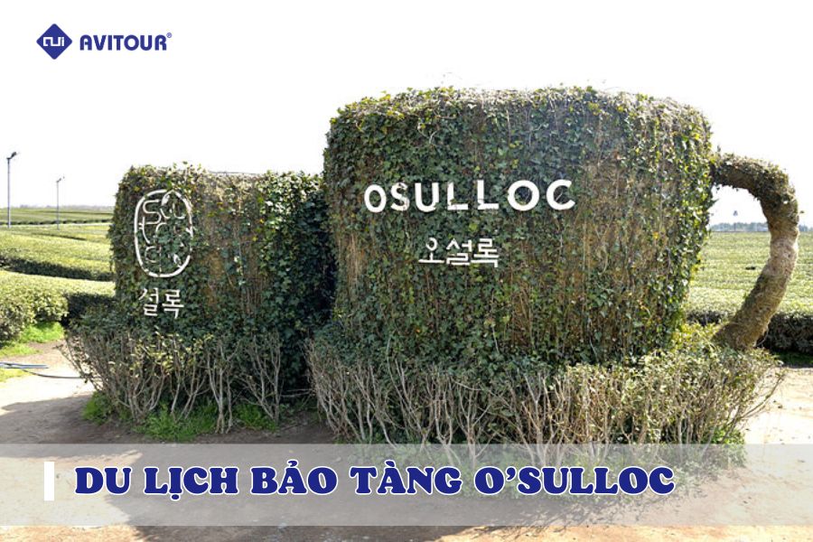 Bảo tàng O'Sulloc - tách trà nằm giữa cánh đồng xanh bát ngát