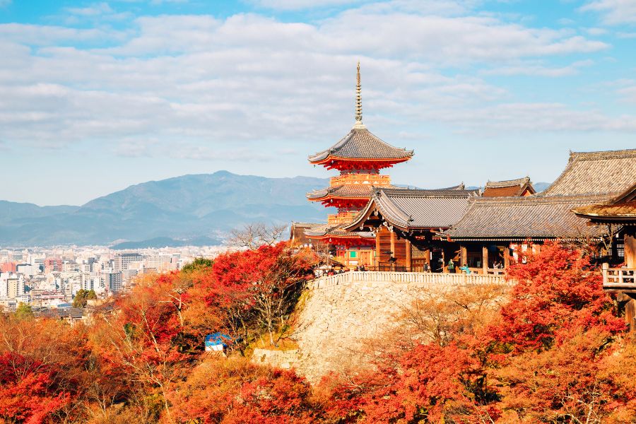 Cẩm nang du lịch Nhật Bản: review chi tiết nhất