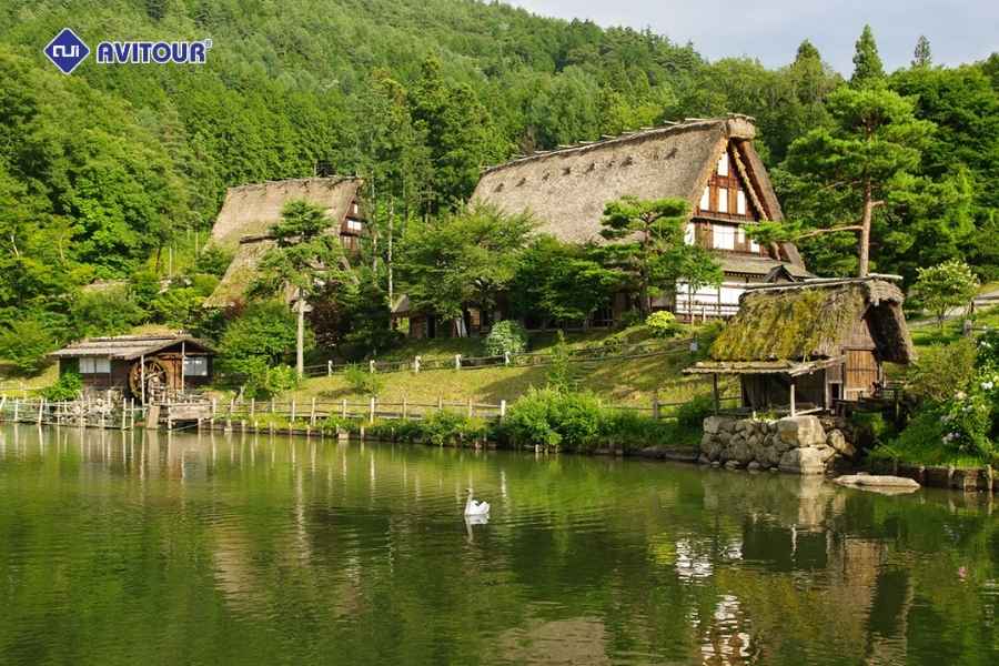 Cẩm Nang Khám Phá Làng Cổ Shirakawago Nhật Bản