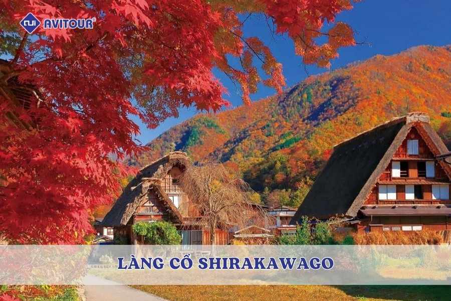Cẩm Nang Khám Phá Làng Cổ Shirakawago Nhật Bản