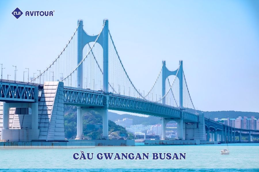 Cầu Gwangan Busan: Biểu tượng ánh sáng lung linh bên bờ biển Hàn Quốc