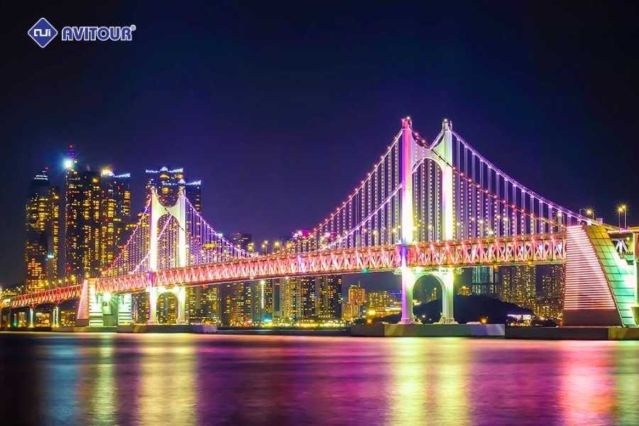 Cầu Gwangan Busan: Biểu tượng ánh sáng lung linh bên bờ biển Hàn Quốc