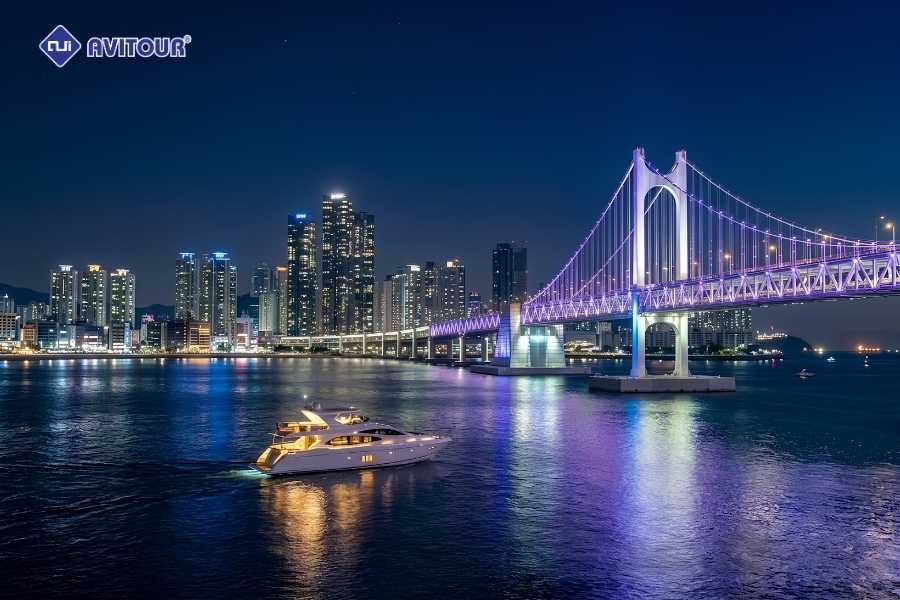 Cầu Gwangan Busan: Biểu tượng ánh sáng lung linh bên bờ biển Hàn Quốc