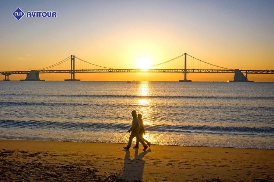 Cầu Gwangan Busan: Biểu tượng ánh sáng lung linh bên bờ biển Hàn Quốc