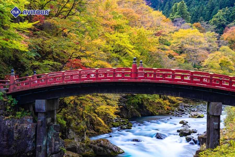 Cầu Thánh Shinkyo: Biểu tượng đỏ rực giữa núi rừng Nikko Nhật Bản