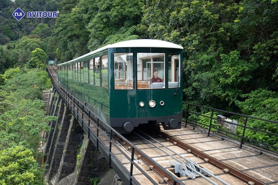 Chinh phục đỉnh núi Thái Bình - Tầm nhìn triệu đô giữa lòng Hồng Kông