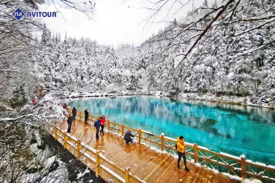 Có Nên Đi Du Lịch Cửu Trại Câu Tháng 12?