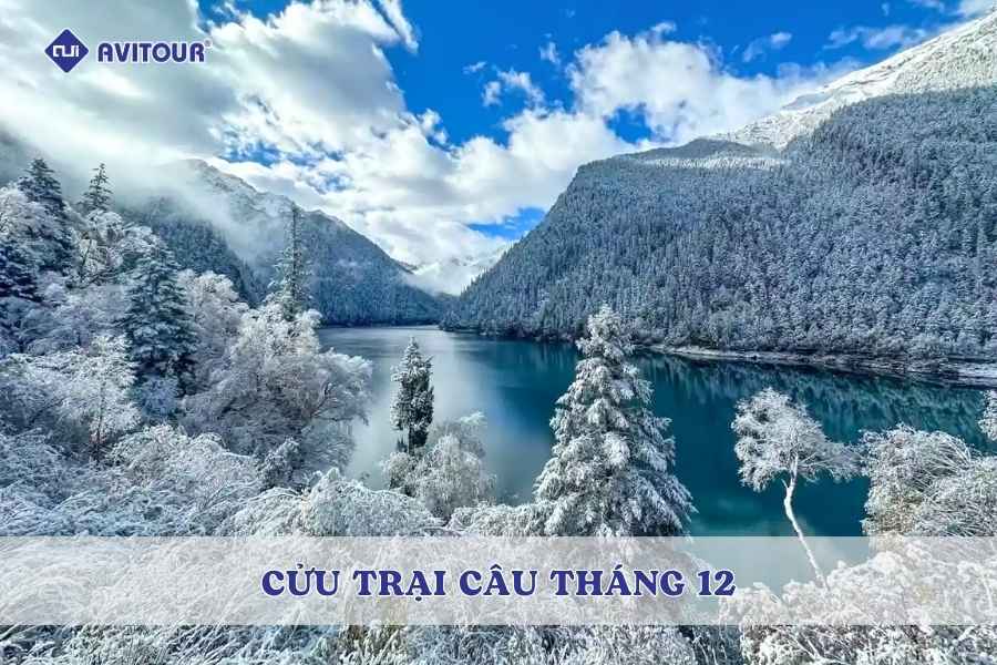 Có Nên Đi Du Lịch Cửu Trại Câu Tháng 12?