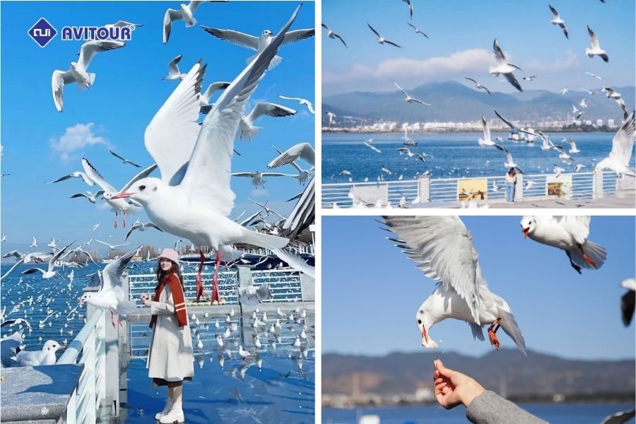 Côn Minh - Đại Lý: Cung đường du lịch lãng mạn giữa lòng Vân Nam