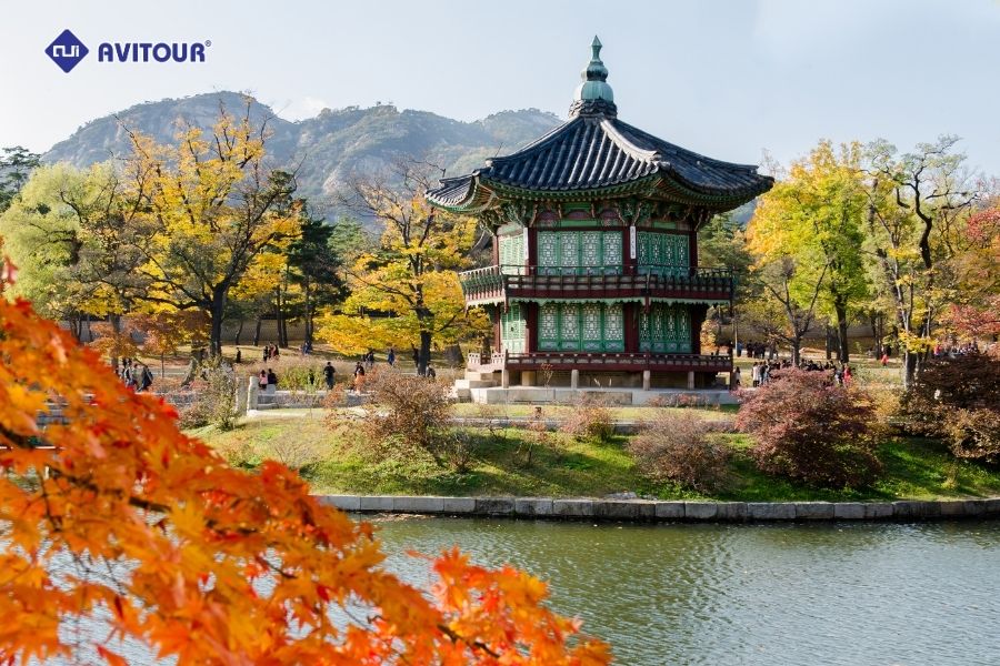 Cung điện Gyeongbokgung: Biểu tượng lịch sử và văn hóa Hàn Quốc. Cùng khám phá vẻ đẹp cổ kính và trải nghiệm không gian văn hóa cung đình độc đáo.