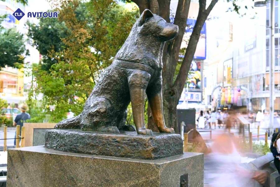 Đại lộ Shibuya Crossing: Biểu tượng nhộn nhịp bậc nhất Tokyo