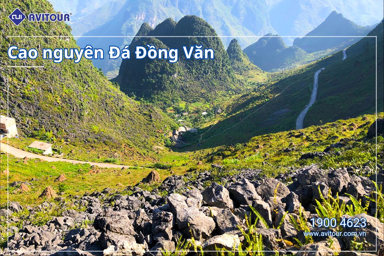 Đắm chìm trong vẻ đẹp hoang sơ của Hà Giang | HÀ GIANG - YÊN MINH - LŨNG CÚ - ĐỒNG VĂN - HÀ NỘI