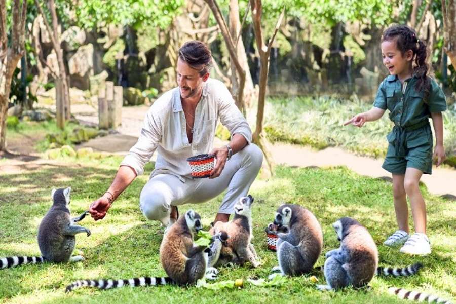 Đắm mình giữa thiên nhiên xanh mát khi khám phá Lemur's Park