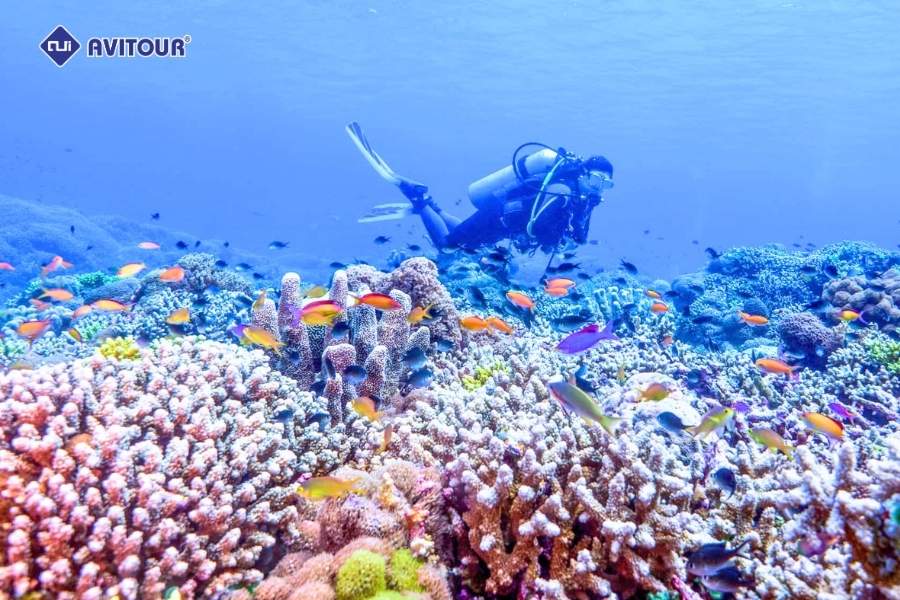 Đắm mình trong làn nước trong vắt tại công viên biển Blue Bay