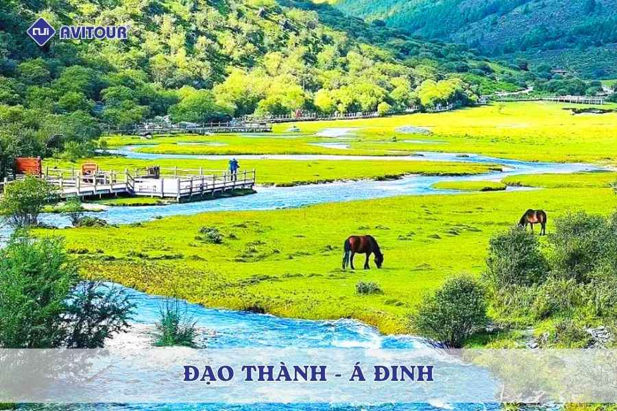 Đạo Thành - Á Đinh: Vùng đất thiên đường giữa cao nguyên Tứ Xuyên