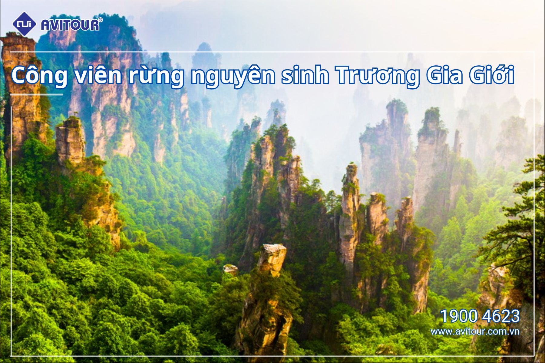 Đê mê trước Phượng Hoàng Cổ Trấn | TRƯƠNG GIA GIỚI - PHƯỢNG HOÀNG CỔ TRẤN - VŨ LĂNG NGUYÊN