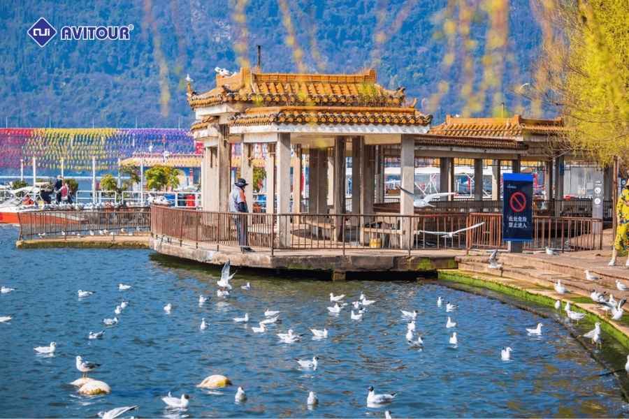 Địa Điểm Không Thể Bỏ Lỡ Khi Du Lịch Côn Minh